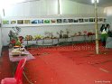 flower-show-2012 (36)